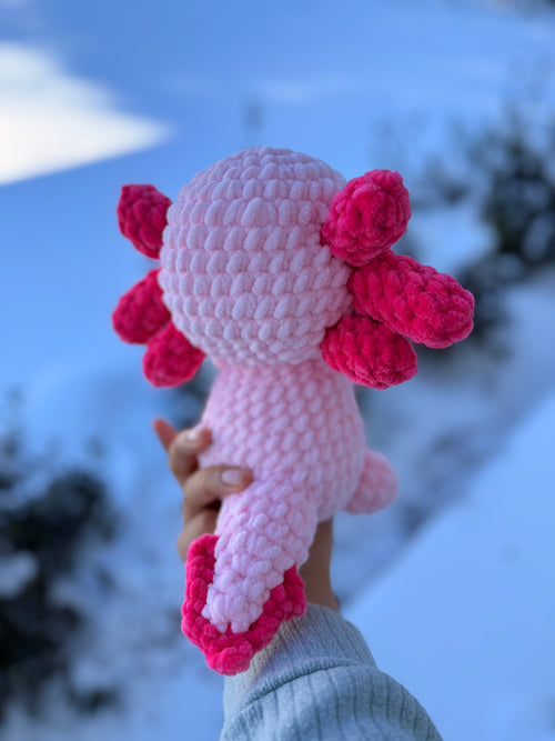 Alli the Axolotl