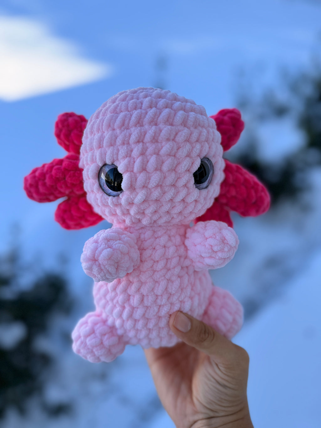 Alli the Axolotl