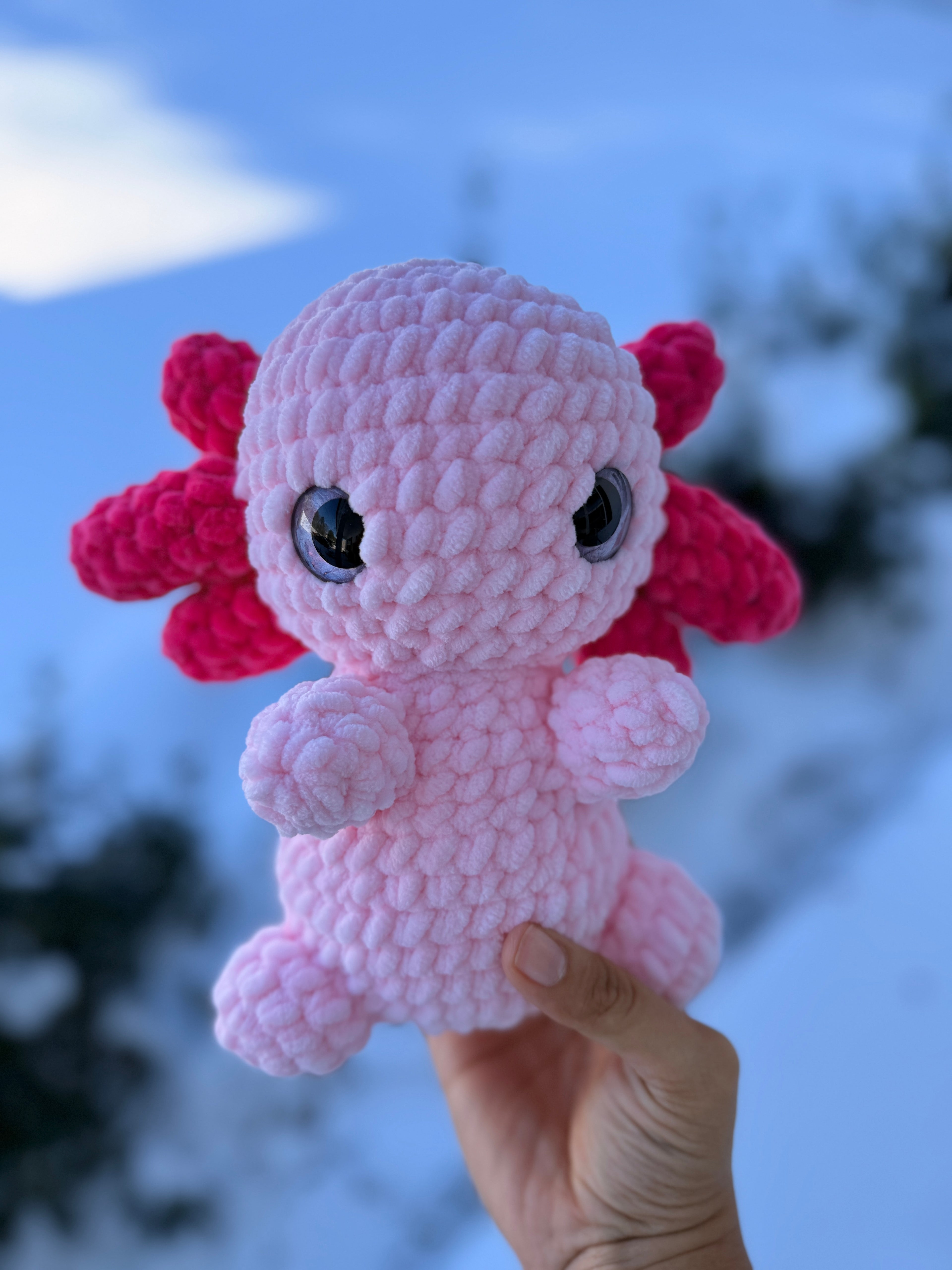 Alli the Axolotl