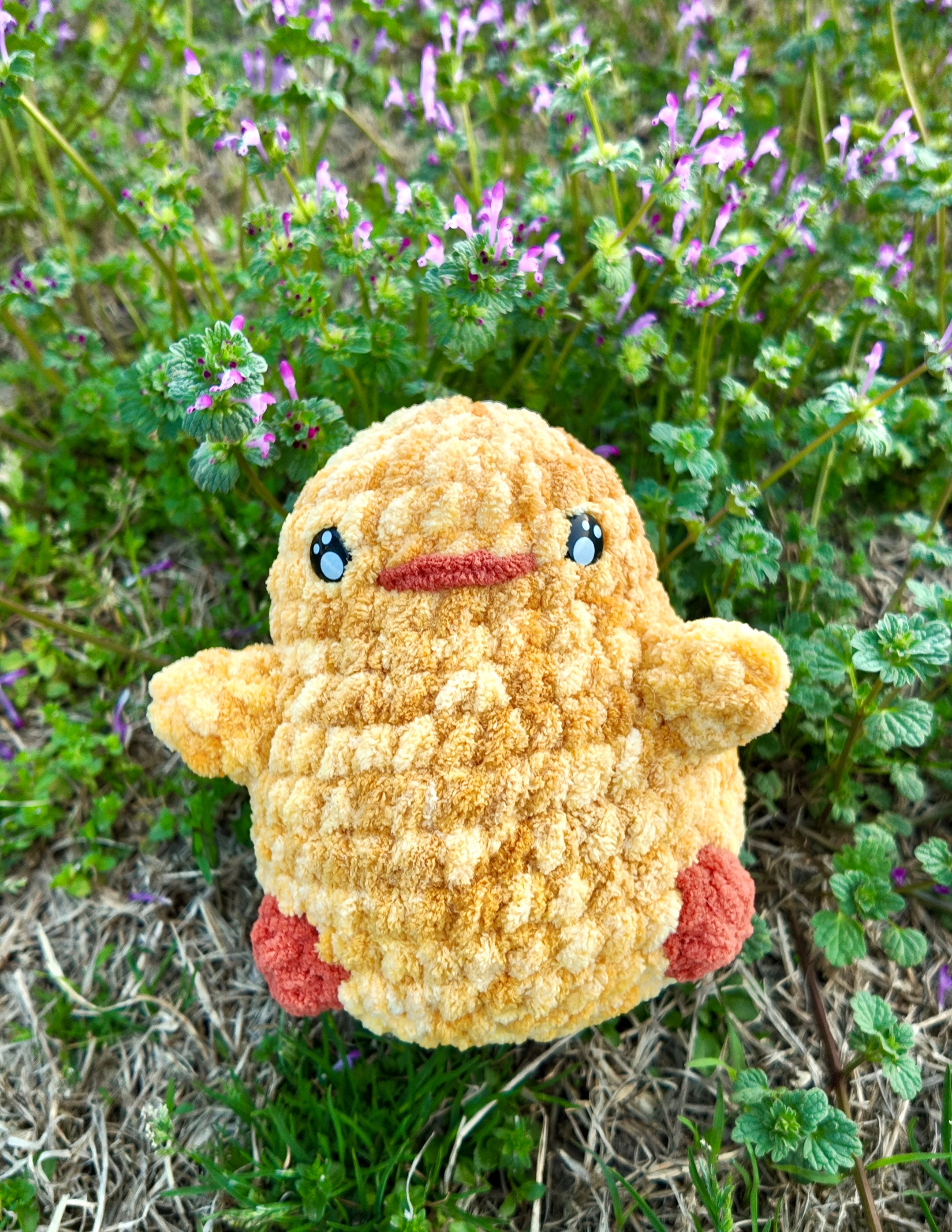 Cookie the Chick