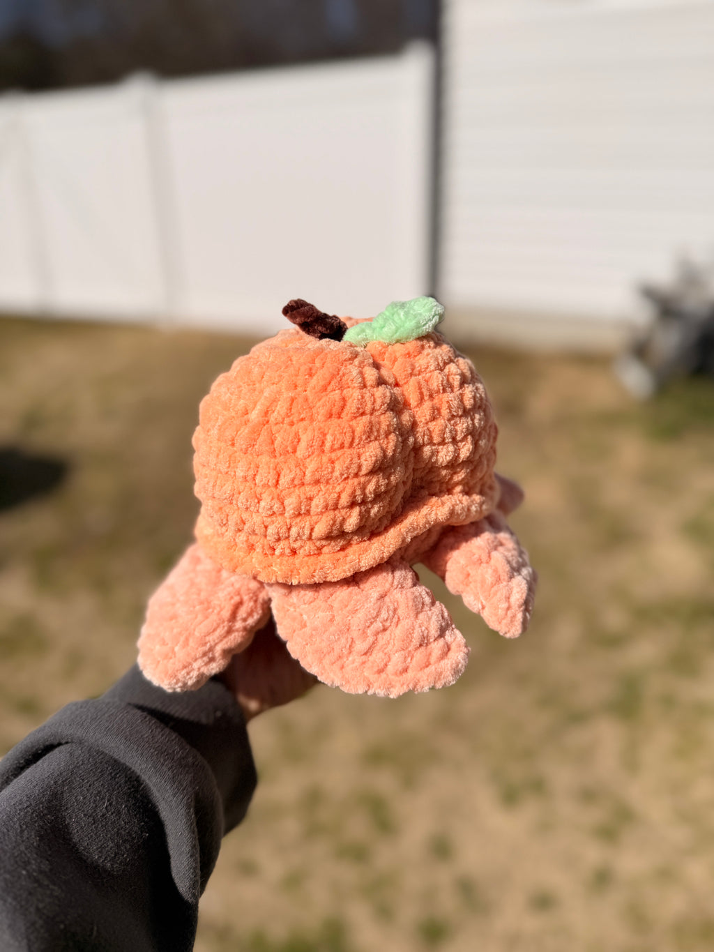 Pip the Peach Turtle