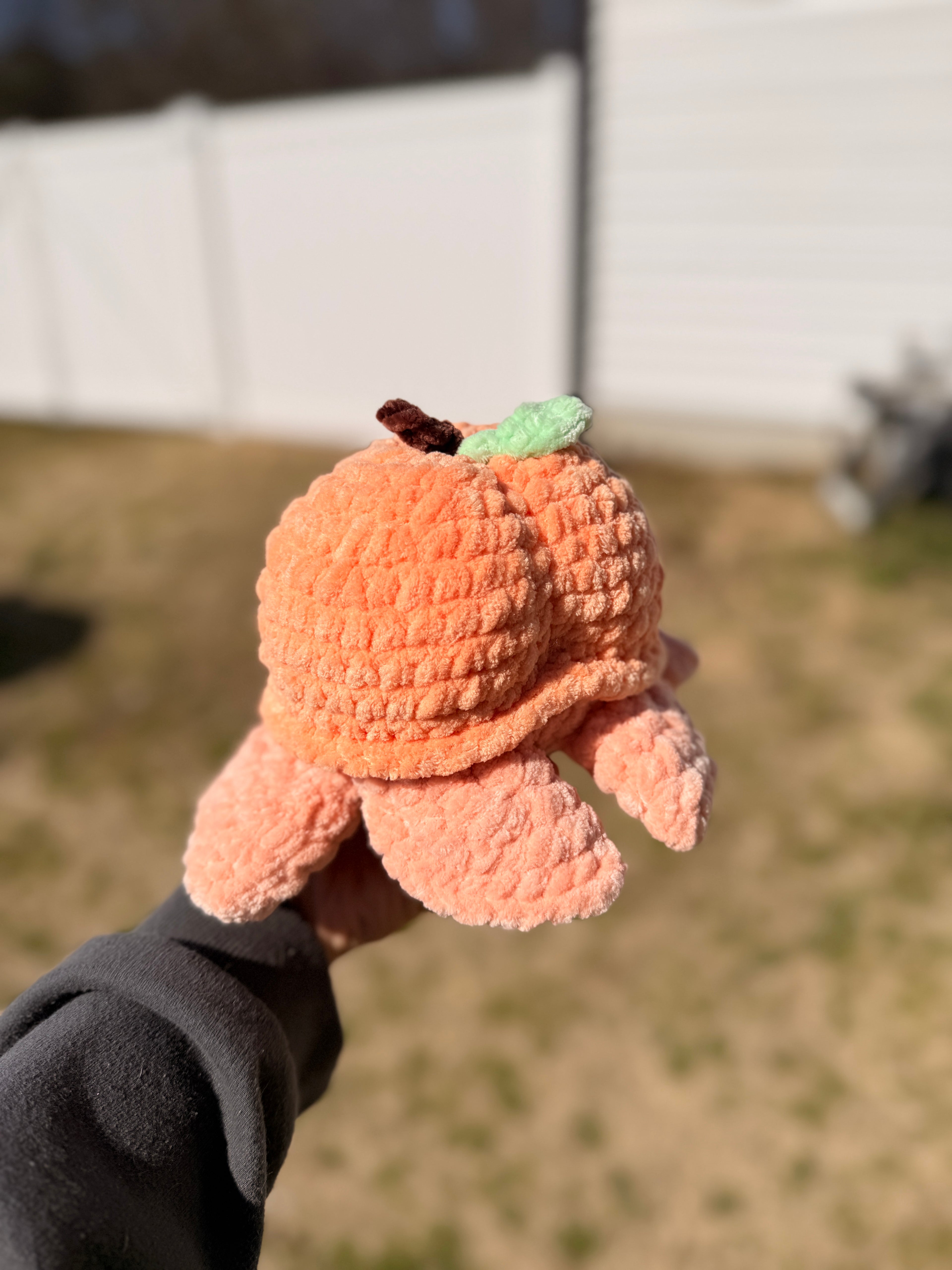 Pip the Peach Turtle