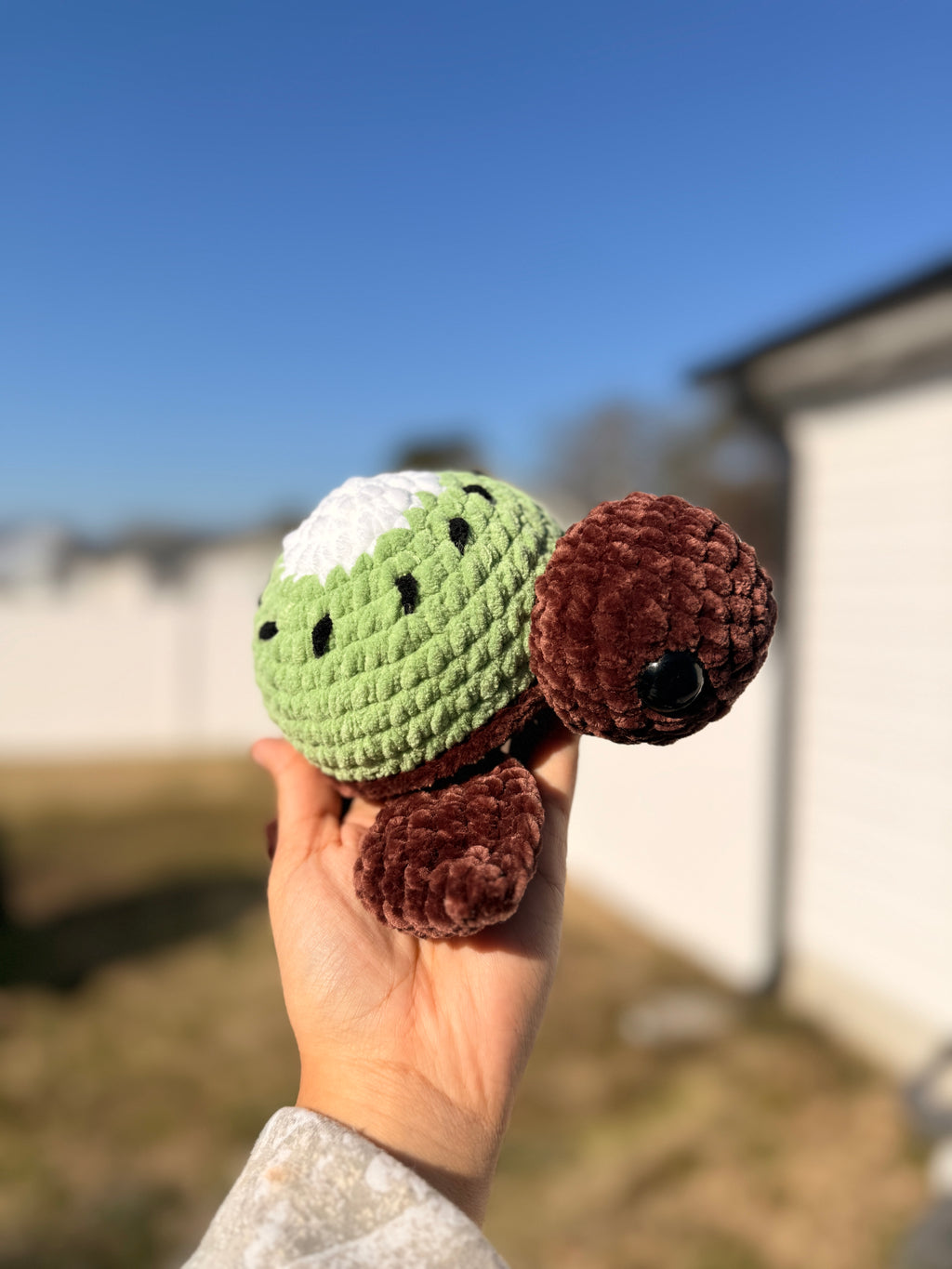 Kip the Kiwi Turtle