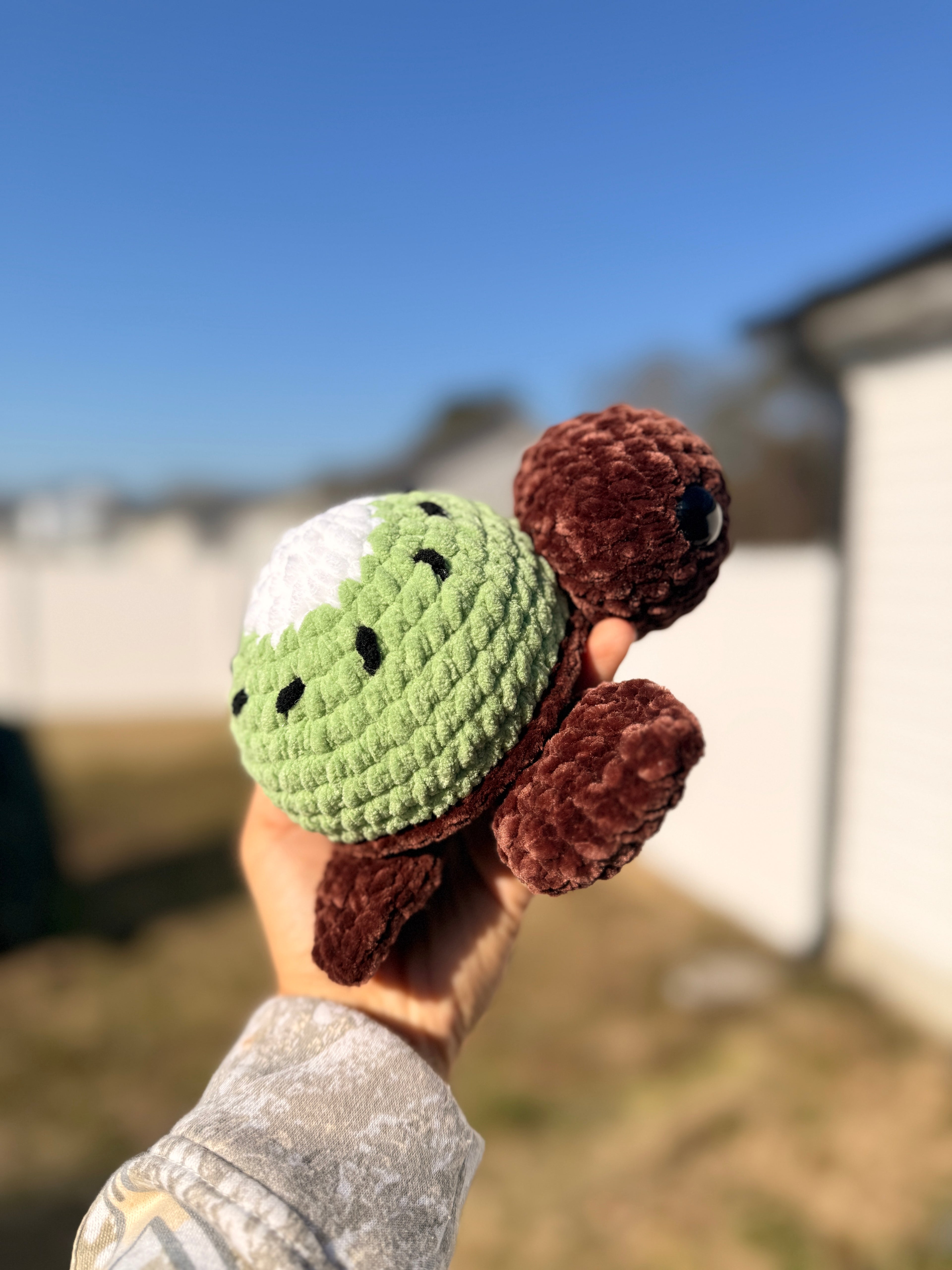 Kip the Kiwi Turtle