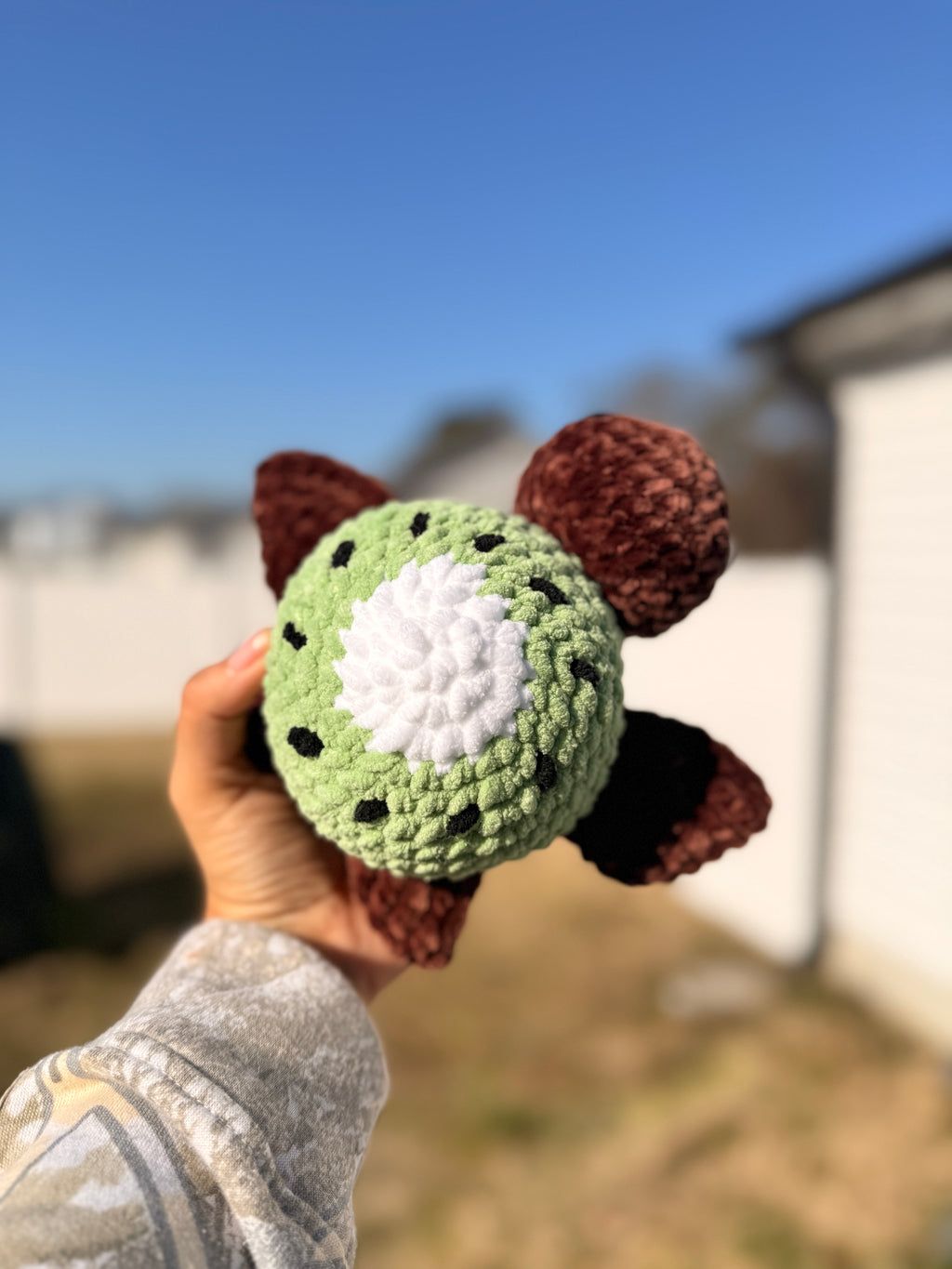 Kip the Kiwi Turtle