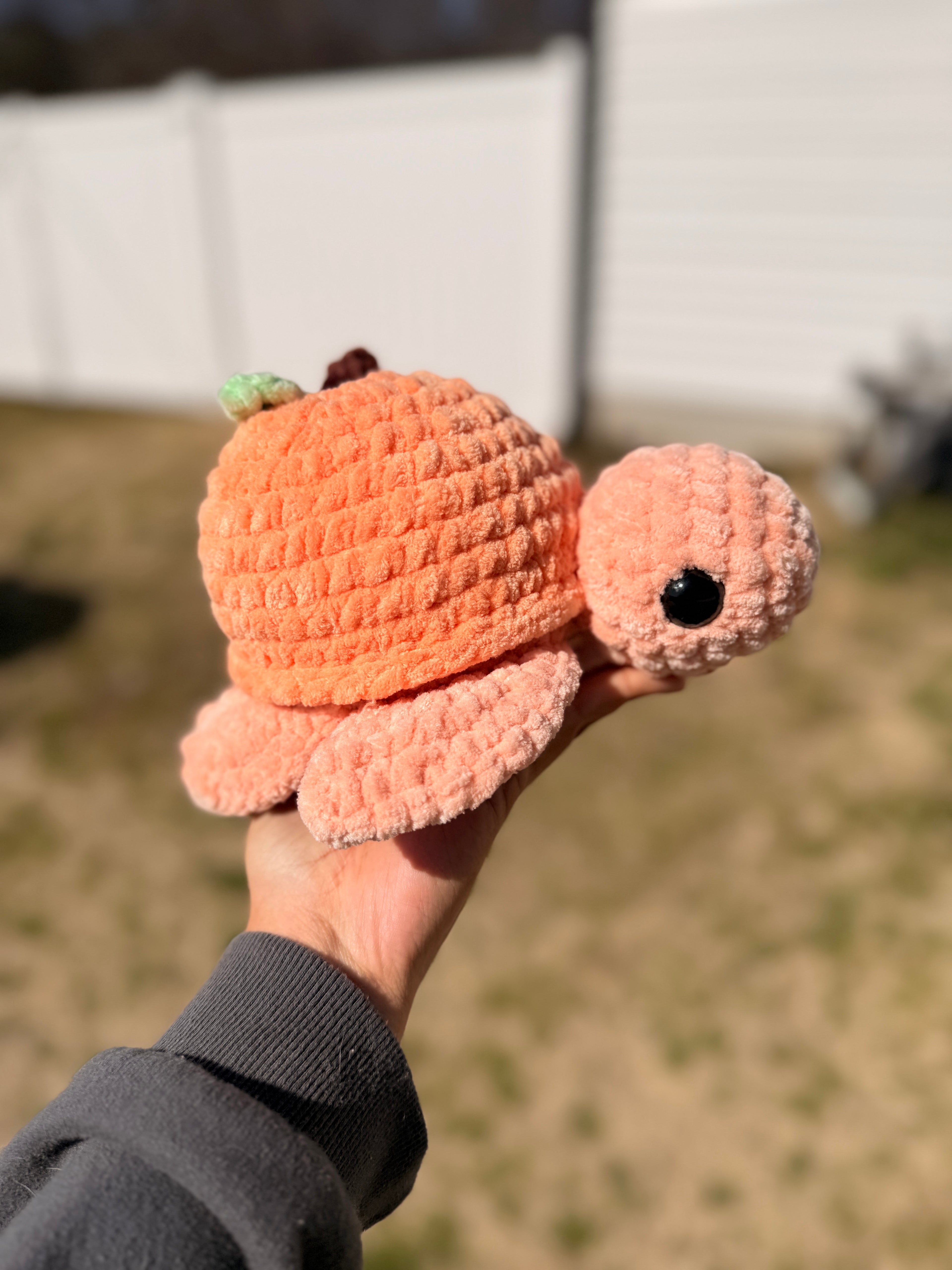 Pip the Peach Turtle