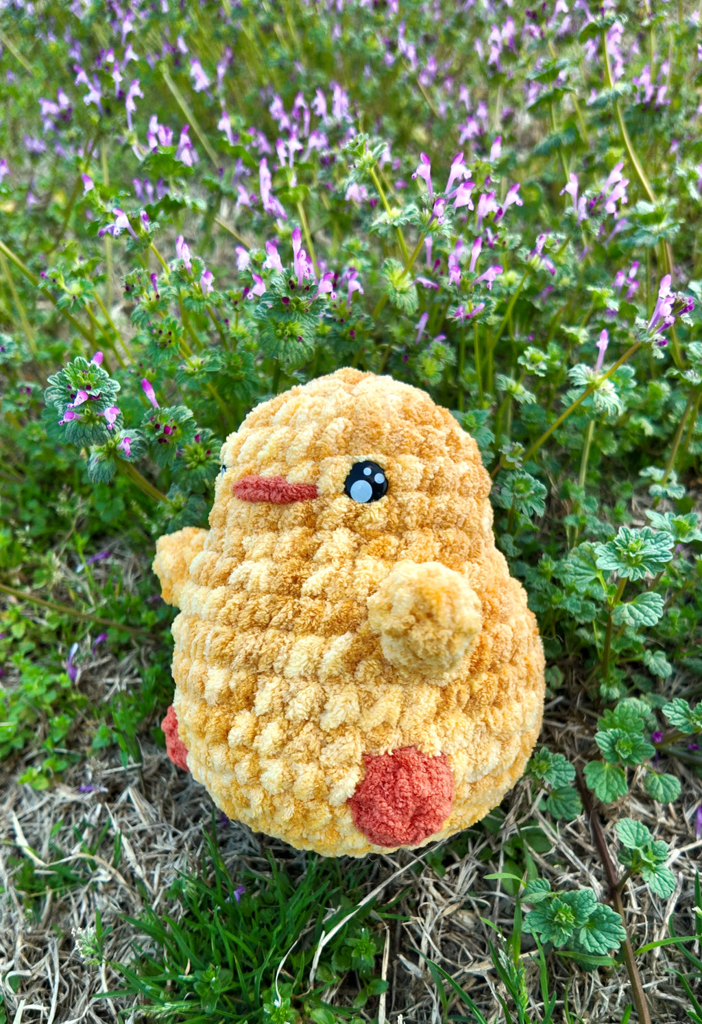 Cookie the Chick