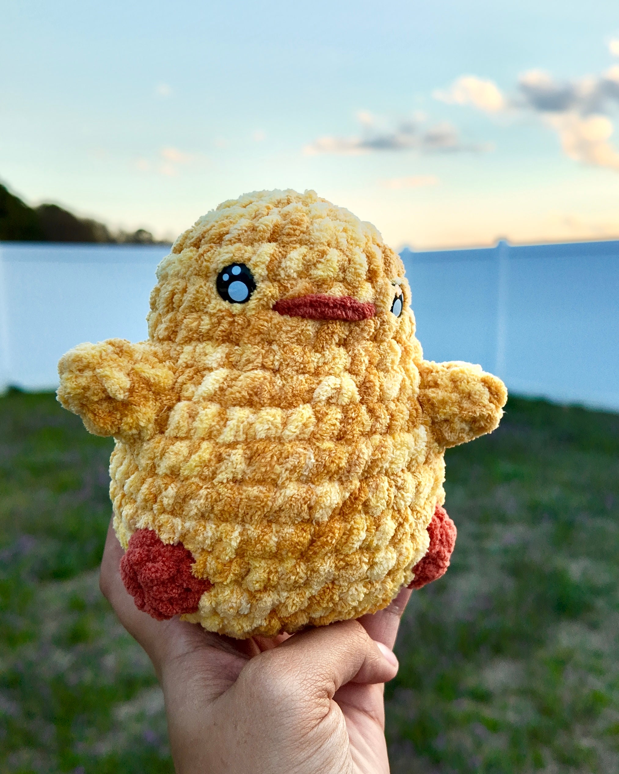 Cookie the Chick