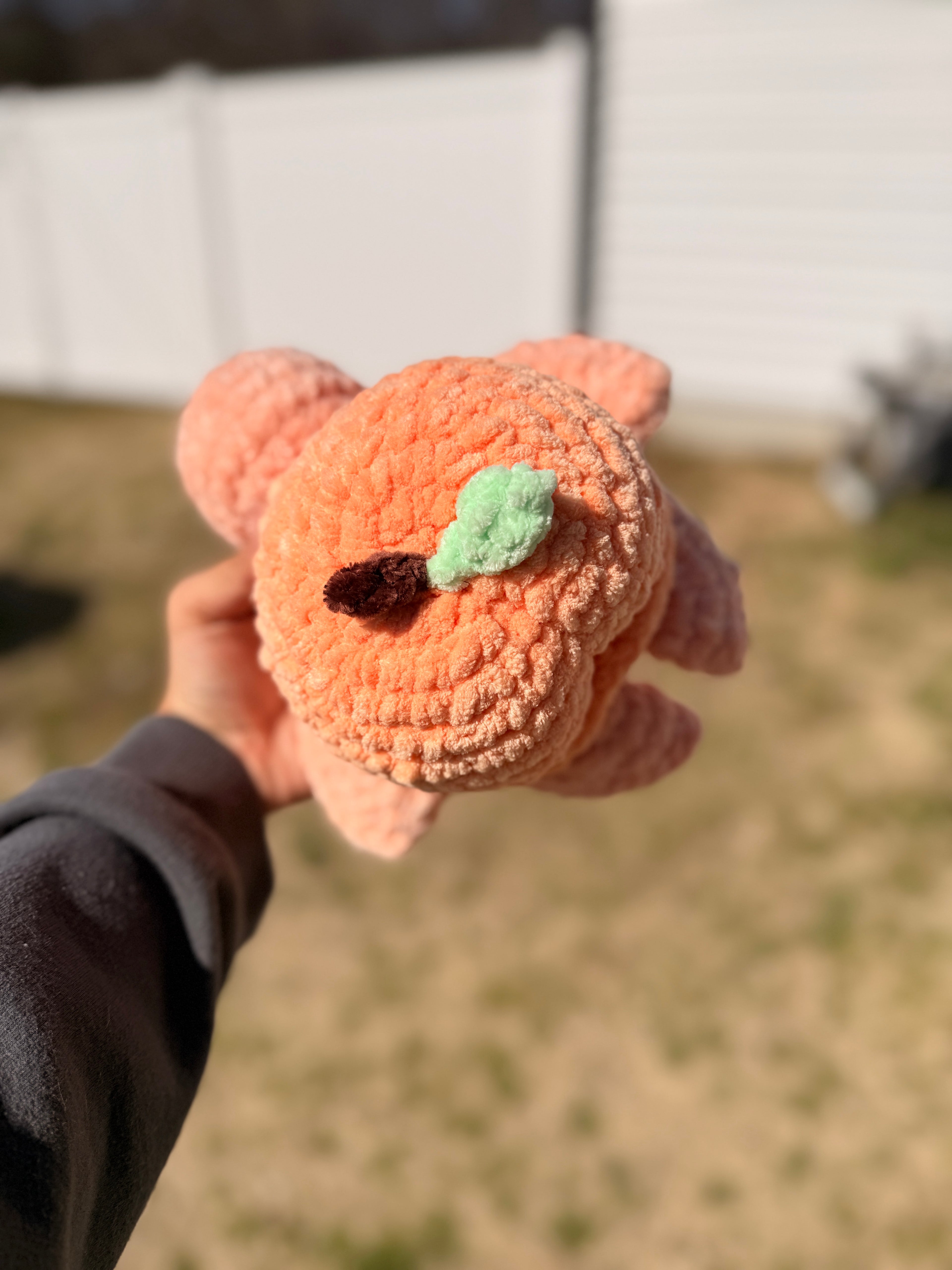 Pip the Peach Turtle