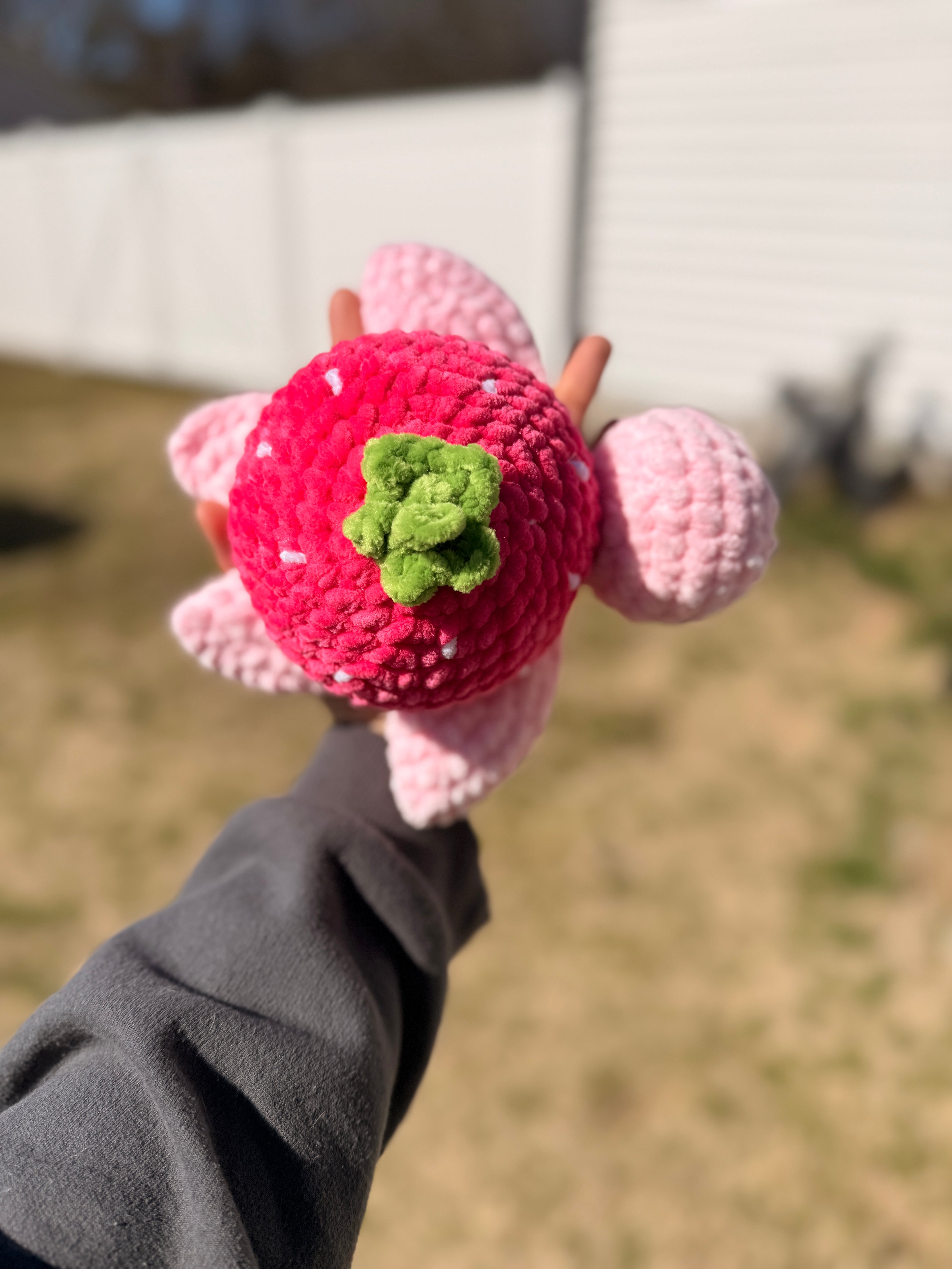 Strawberry Shortshell