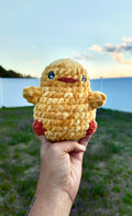 Cookie the Chick